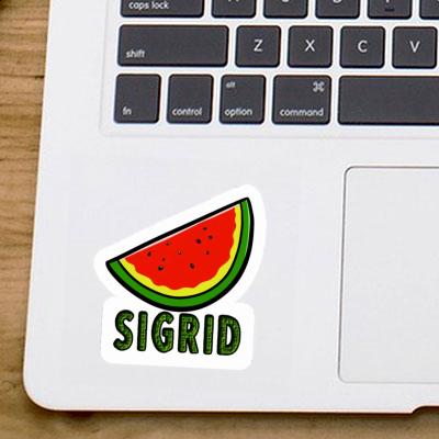 Watermelon Sticker Sigrid Laptop Image