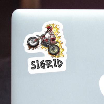 Dirt Biker Sticker Sigrid Gift package Image
