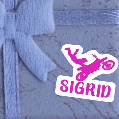 Sigrid Sticker Motocross Jumper Image