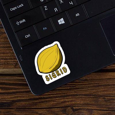 Nut Sticker Sigrid Laptop Image