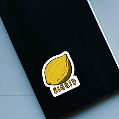 Sigrid Sticker Nuss Notebook Image