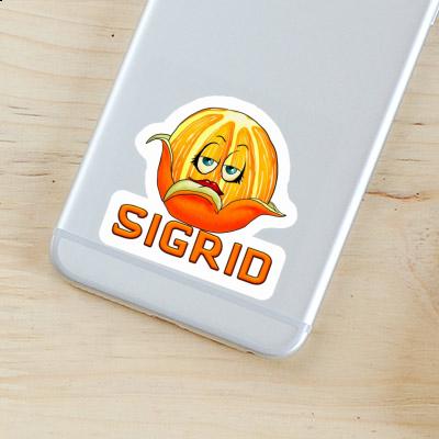 Orange Sticker Sigrid Laptop Image
