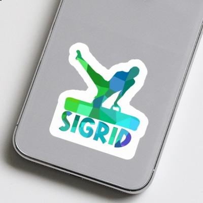Sticker Gymnast Sigrid Notebook Image