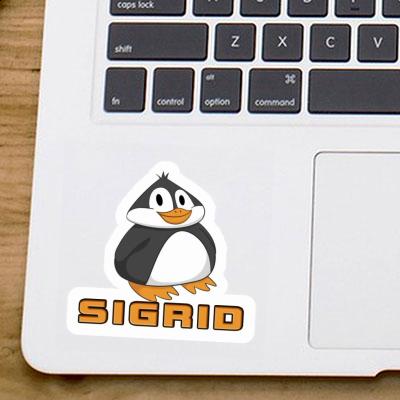 Sticker Fat Penguin Sigrid Gift package Image