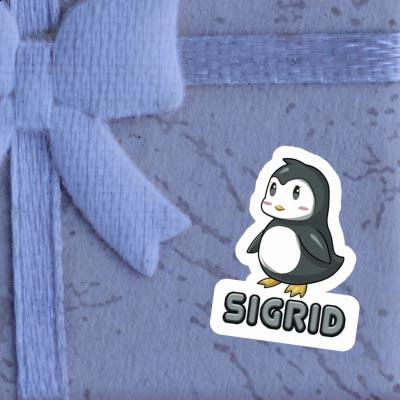 Sigrid Sticker Pinguin Gift package Image