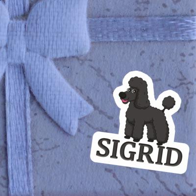 Aufkleber Pudel Sigrid Gift package Image