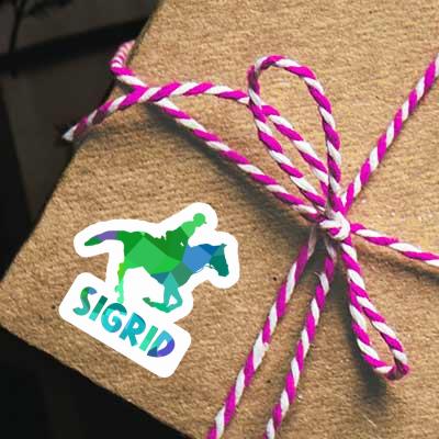 Horse Rider Sticker Sigrid Laptop Image