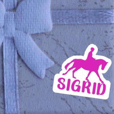 Horse Rider Sticker Sigrid Laptop Image
