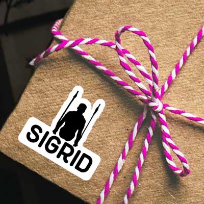 Ring gymnast Sticker Sigrid Laptop Image