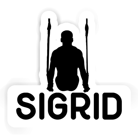 Ring gymnast Sticker Sigrid Gift package Image