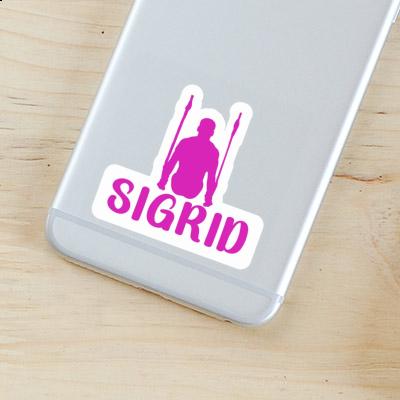 Sticker Ring gymnast Sigrid Laptop Image