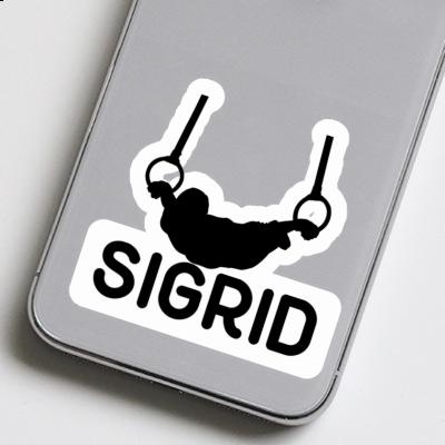 Sticker Sigrid Ring gymnast Gift package Image