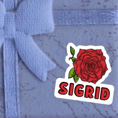 Aufkleber Rose Sigrid Gift package Image