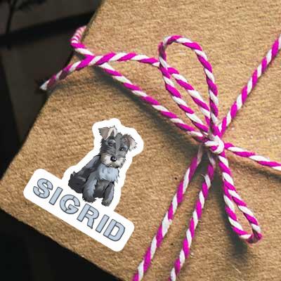 Autocollant Sigrid Schnauzer Notebook Image