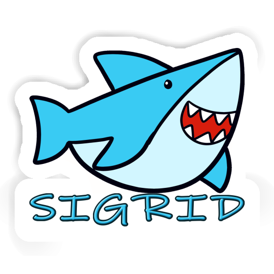 Shark Sticker Sigrid Gift package Image