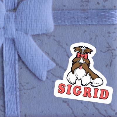 Sticker Shih Tzu Sigrid Gift package Image