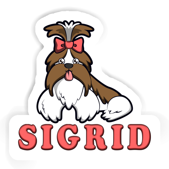 Sticker Shih Tzu Sigrid Gift package Image