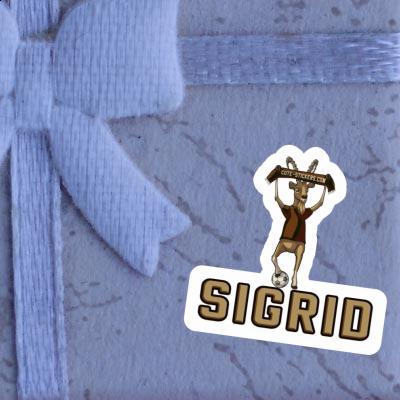 Capricorn Sticker Sigrid Gift package Image