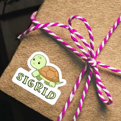 Autocollant Sigrid Tortue Gift package Image
