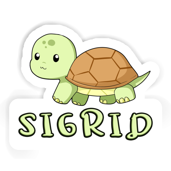 Autocollant Sigrid Tortue Gift package Image
