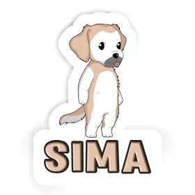 Golden Retriever Autocollant Sima Image