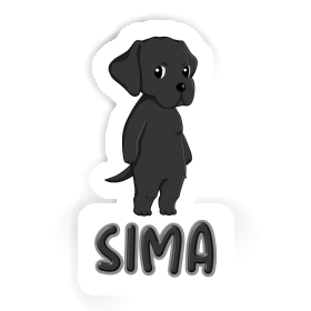 Sticker Labrador Sima Image