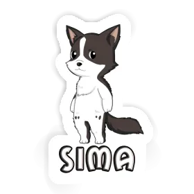 Border Collie Sticker Sima Image