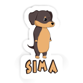 Autocollant Dachshund Sima Image