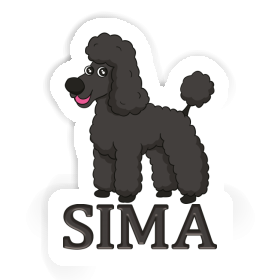 Autocollant Caniche Sima Image