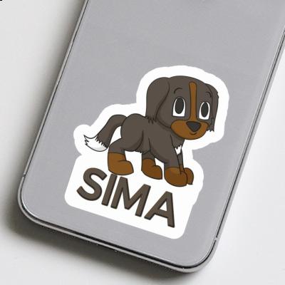 Autocollant Sima Chien de bouvier Gift package Image