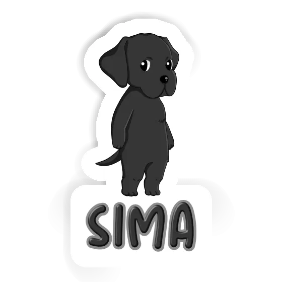 Sticker Labrador Sima Gift package Image