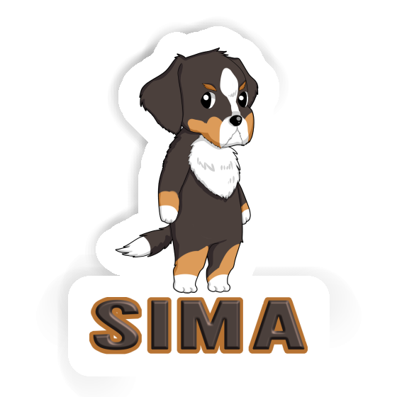 Sticker Berner Sennenhund Sima Gift package Image