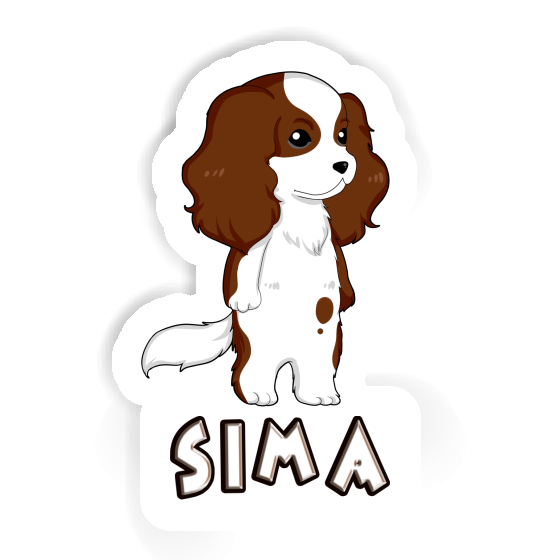 Cavalier King Charles Spaniel Autocollant Sima Image