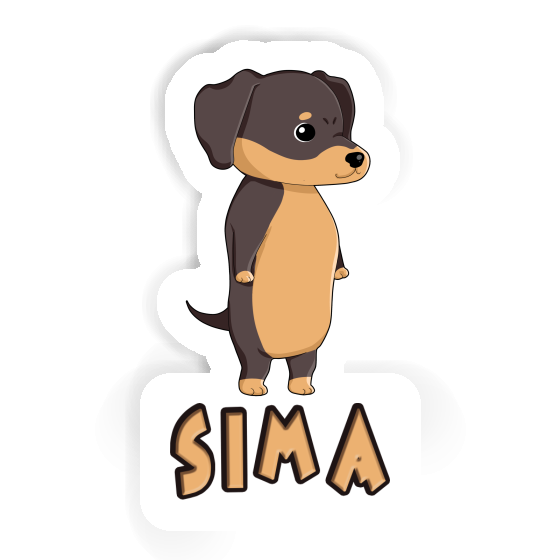 Autocollant Dachshund Sima Laptop Image