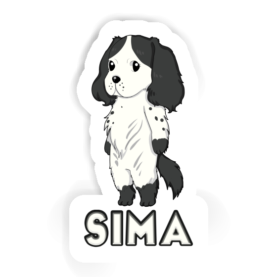 Sticker Sima Spaniel Gift package Image