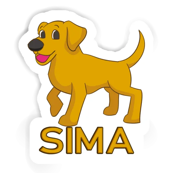 Sticker Sima Labrador Image