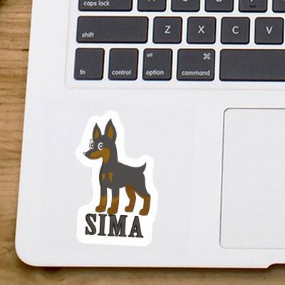 Sticker Pinscher Sima Laptop Image