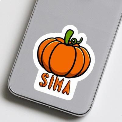 Sticker Pumpkin Sima Gift package Image