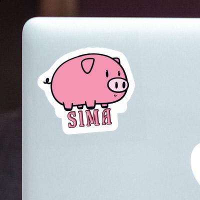 Autocollant Sima Cochon Gift package Image