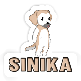 Sinika Autocollant Golden Retriever Image