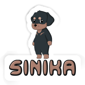 Autocollant Rottweiler Sinika Image