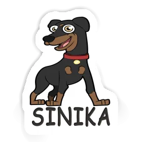 Sinika Autocollant Pinscher Image