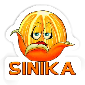 Sinika Autocollant Orange Image