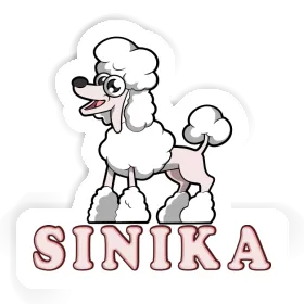 Caniche Autocollant Sinika Image