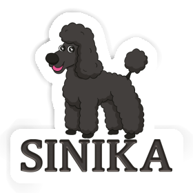 Caniche Autocollant Sinika Image