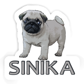 Sticker Pug Sinika Image