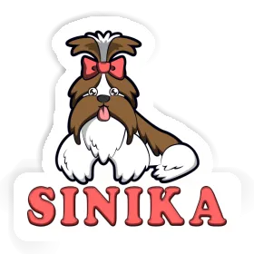 Sinika Autocollant Shih Tzu Image