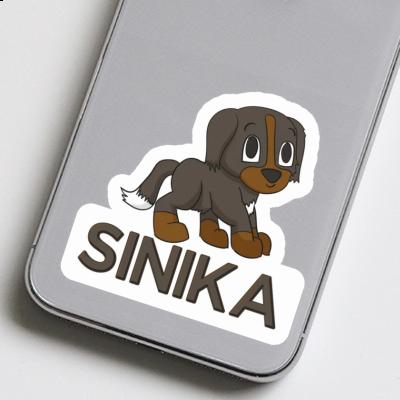 Sticker Sinika Berner Sennenhund Image