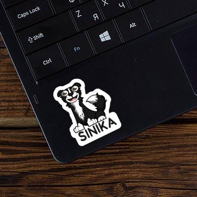 Sinika Sticker Collie Gift package Image