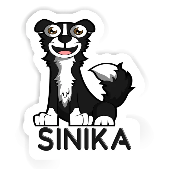 Sinika Sticker Collie Gift package Image